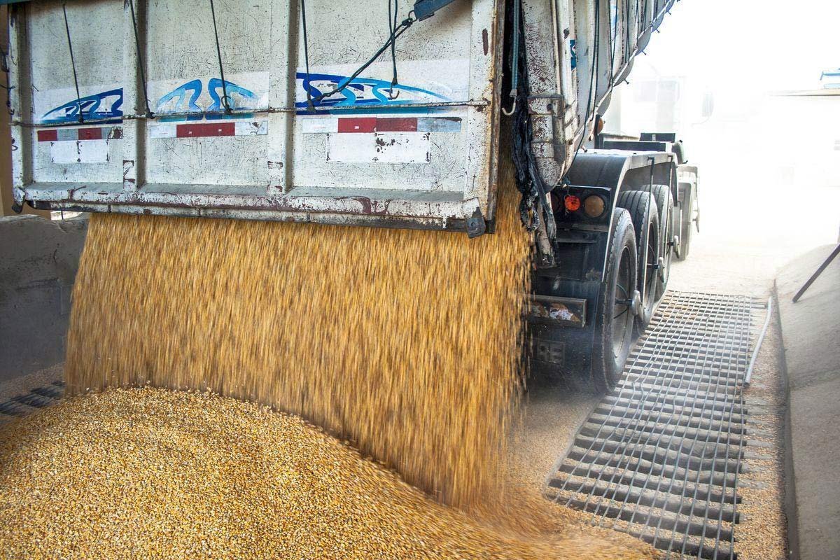 Emirates Way Cargo Truck is unloading the Animal Feed