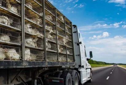 Fooder & Feed Transport Featured Image
